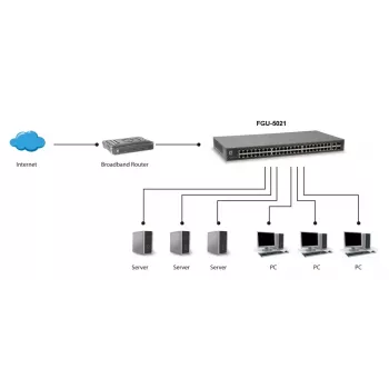 LevelOne 50-poorts Fast Ethernet-switch, 2 x Gigabit SFP/RJ45 combo