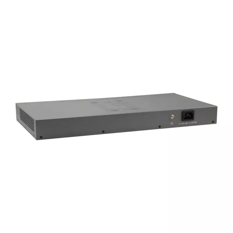 LevelOne 50-poorts Fast Ethernet-switch, 2 x Gigabit SFP/RJ45 combo