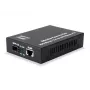 LevelOne GVT-0500 netwerk-mediaconverter 10000 Mbit/s zwart