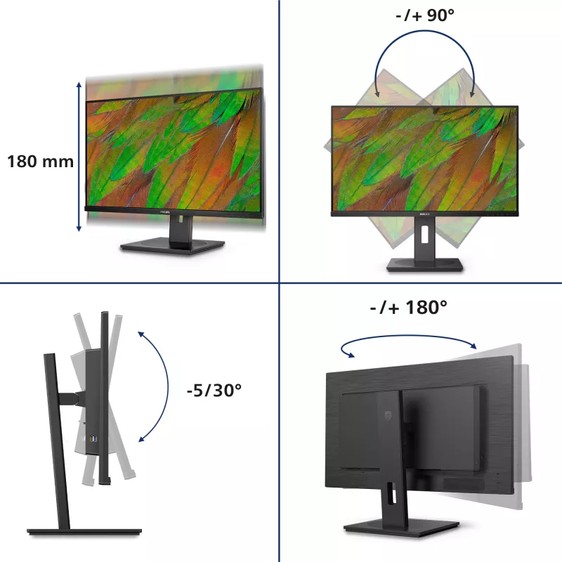 Philips 3000 series 32B1N3800/00 computermonitor 81,3 cm (32 inch) 3840 x 2160 pixel 4K Ultra HD LCD zwart