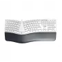 CHERRY KC 4500 ERGO toetsenbord universeel USB QWERTZ Duits wit
