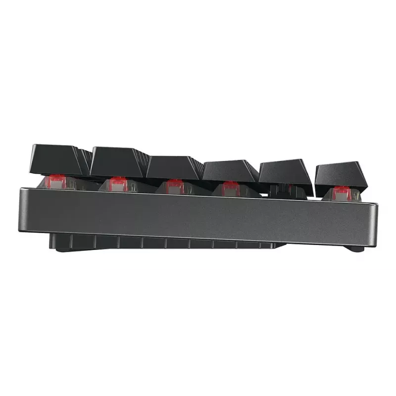 CHERRY MX 8.2 TKL Wireless RGB toetsenbord gaming USB + RF draadloos + Bluetooth QWERTZ Duits zwart