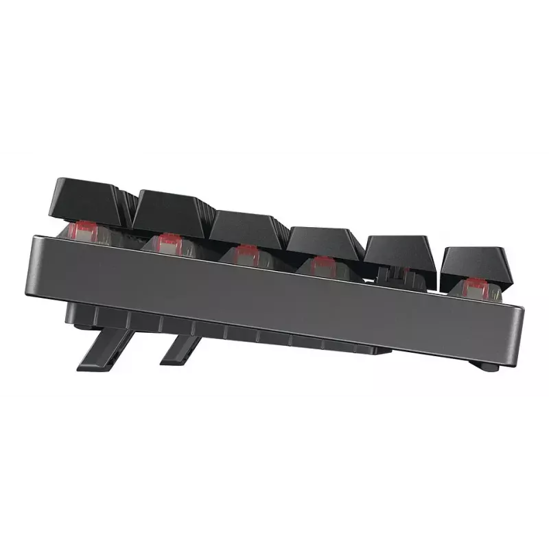 CHERRY MX 8.2 TKL Wireless RGB toetsenbord gaming USB + RF draadloos + Bluetooth QWERTZ Duits zwart