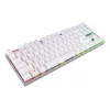 CHERRY MX 8.2 TKL Wireless RGB toetsenbord gaming USB + RF draadloos + Bluetooth QWERTZ Duits wit