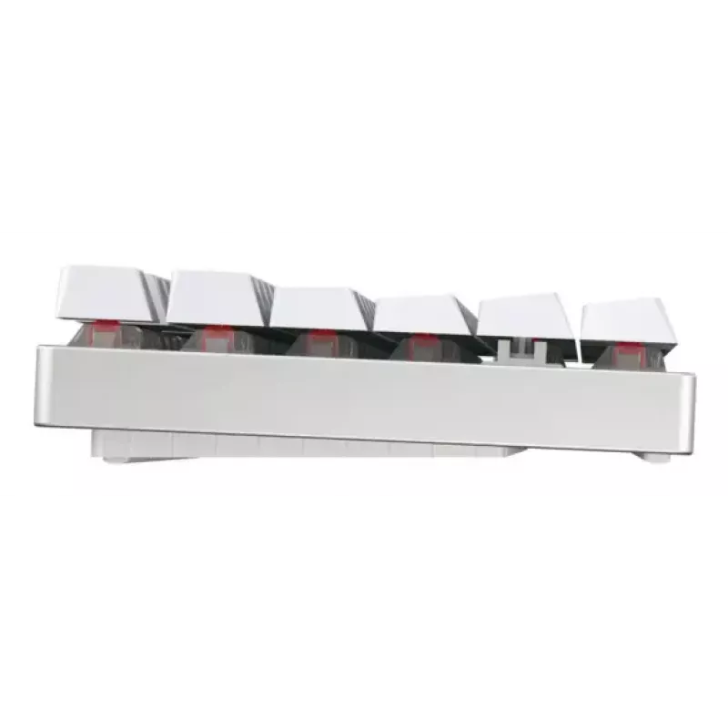 CHERRY MX 8.2 TKL Wireless RGB toetsenbord gaming USB + RF draadloos + Bluetooth QWERTZ Duits wit