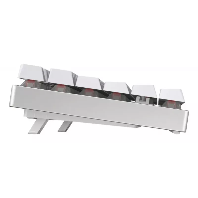 CHERRY MX 8.2 TKL Wireless RGB toetsenbord gaming USB + RF draadloos + Bluetooth QWERTZ Duits wit