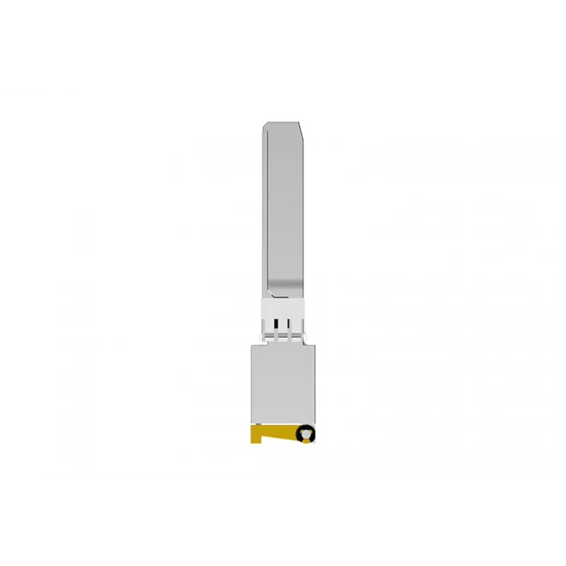 NETGEAR AXM765 SFP+ 10GBase-T RJ-45 transceivermodule, tot 80 m