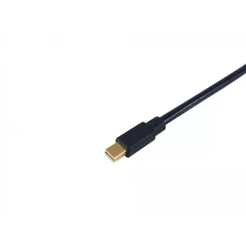 Equip mini-DisplayPort-naar-DisplayPort-kabel, M/M, 2,0 m