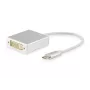 USB Type-C naar DVI-I Dual Link adapter Equip 133453