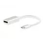 Equip USB Type-C naar DisplayPort adapter, 4096 x 2160 pixels