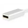 Equip USB Type-C naar DisplayPort adapter, 4096 x 2160 pixels