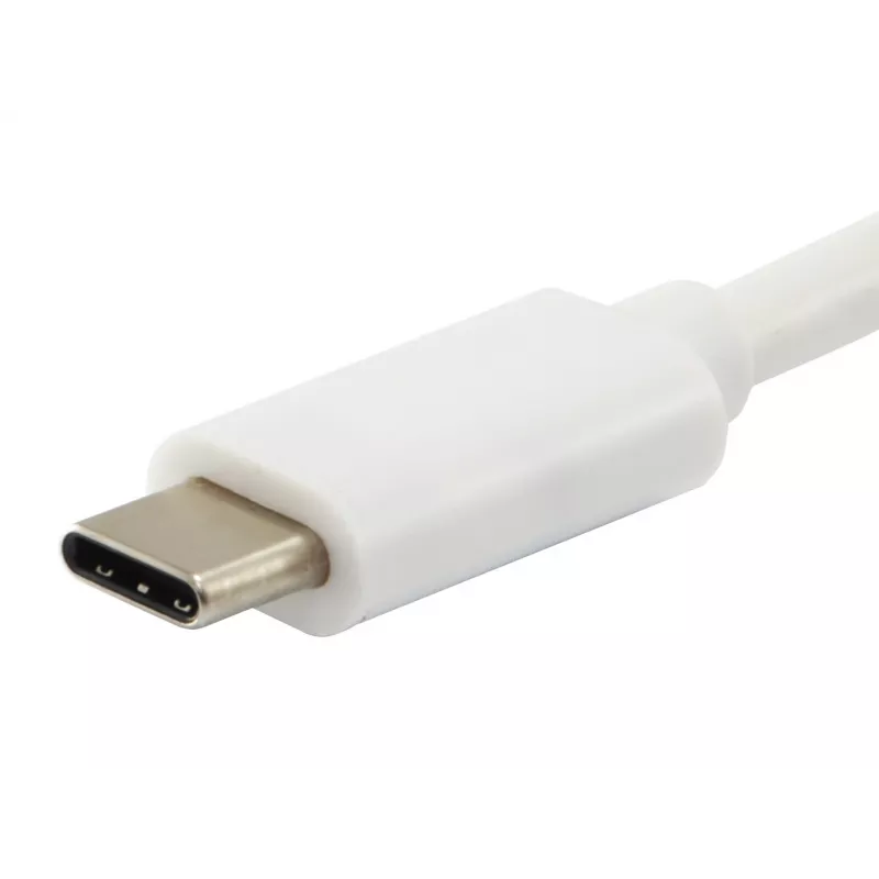 Equip Platinum USB Type-C kabel, 2 m, USB C, USB C, USB 3.2 Gen 2 (3.1 Gen 2), 10 Gbit/s, wit