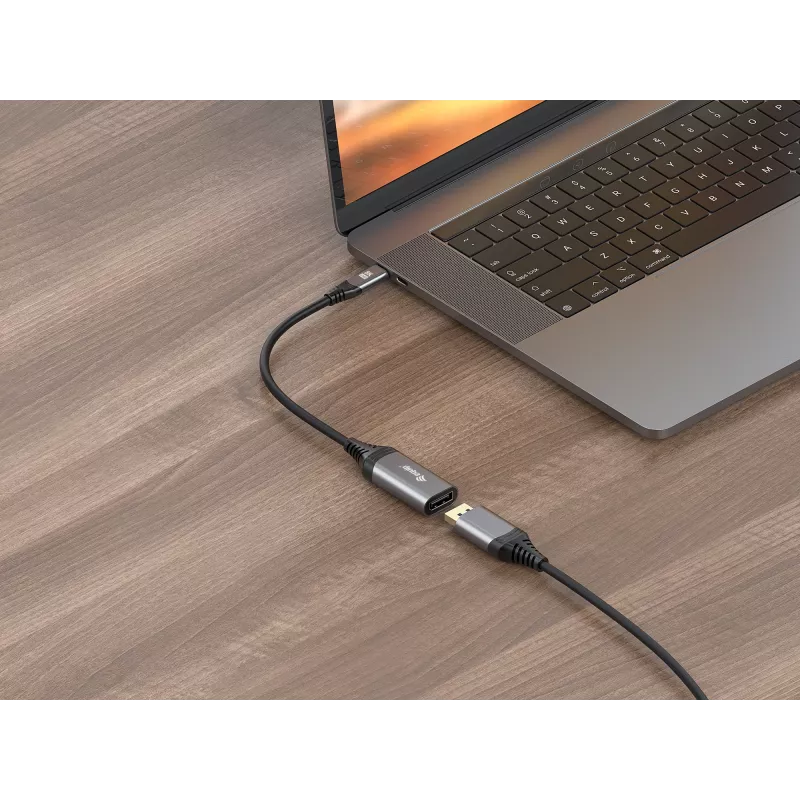 Equip USB-C naar DisplayPort 1.4 adapter 8K 30Hz 0.15m