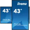 iiyama ProLite LH4360UHS-B2AG 43 inch 4K UHD digital signage-display