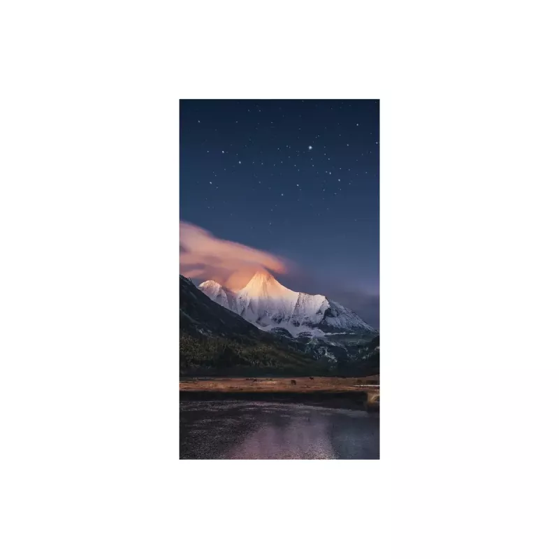 Monitor Samsung VH55R-R 55 inch LCD Full HD 1920 x 1080
