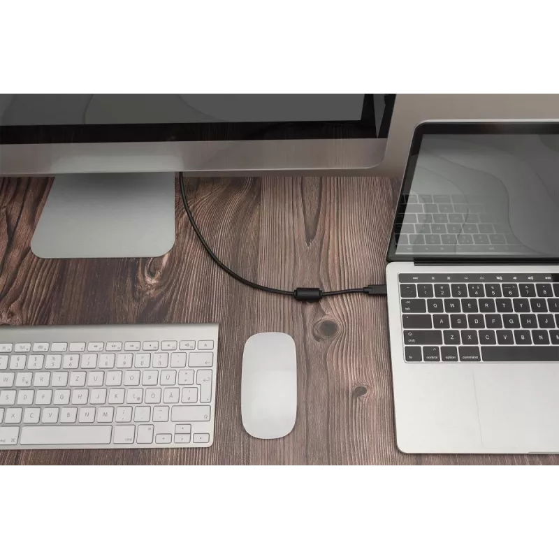 DIGITUS USB Type-C adapterkabel, Type-C naar DP M/M, 2 m 4K/60 Hz, 32,4 Gbit/s, CE, zwart