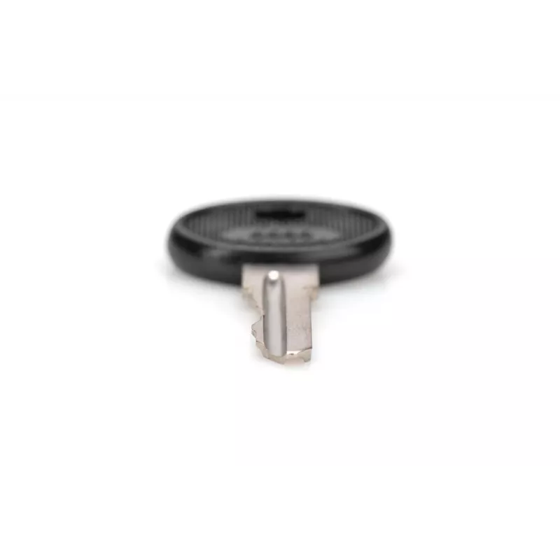 DIGITUS DN-19-KEY-4444 sleutel type 4444 voor SOHO PRO DN-1019 / DN-DVR-1 wandkasten, zwart/zilver, 2 st.