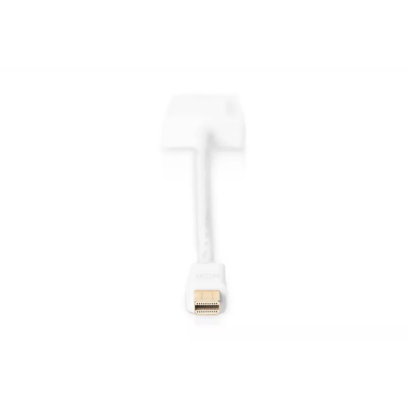 DIGITUS ASSMANN DisplayPort-adapterkabel, Mini-DP - HDMI type A M/W, 20 cm HDMI ver. 2.0, actief, CE, goud, wit