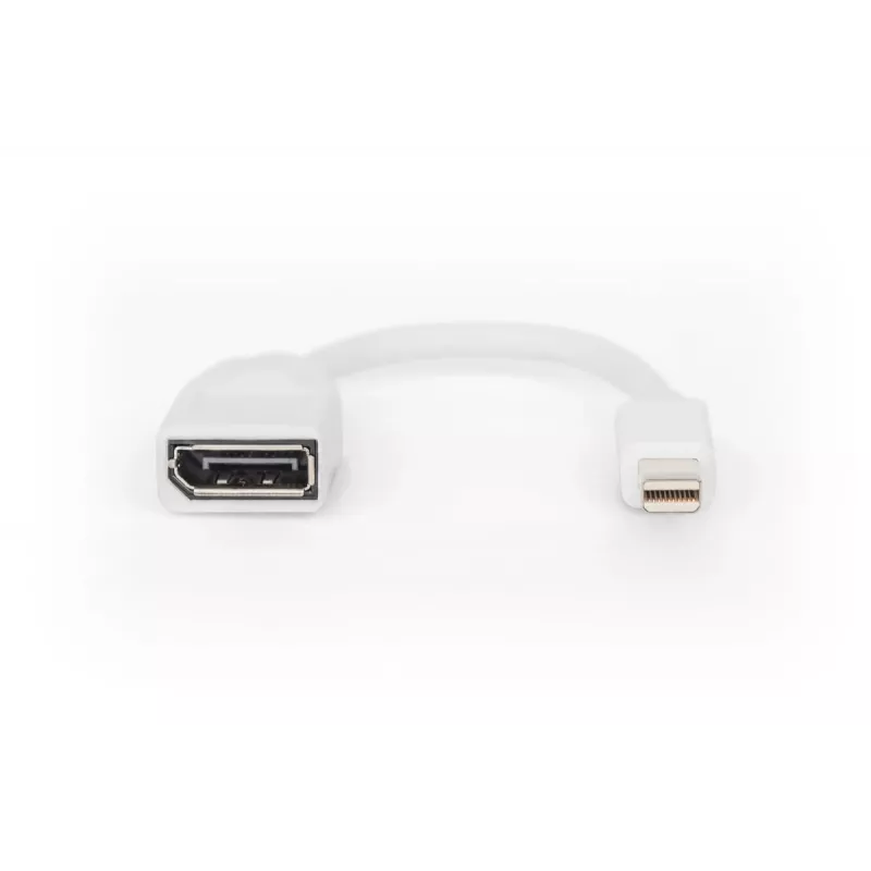 DIGITUS DisplayPort-adapterkabel, Mini DP - DP M/F, 0,15 m, DP 1.2 conform, wit