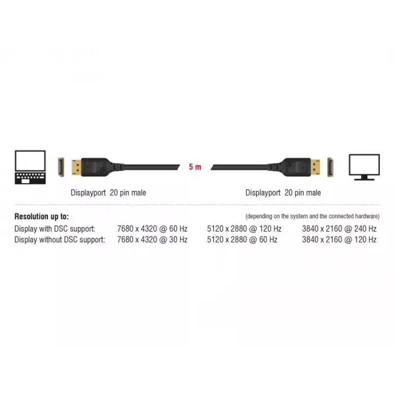 DisplayPort-kabel DeLOCK 85660 2 m zwart
