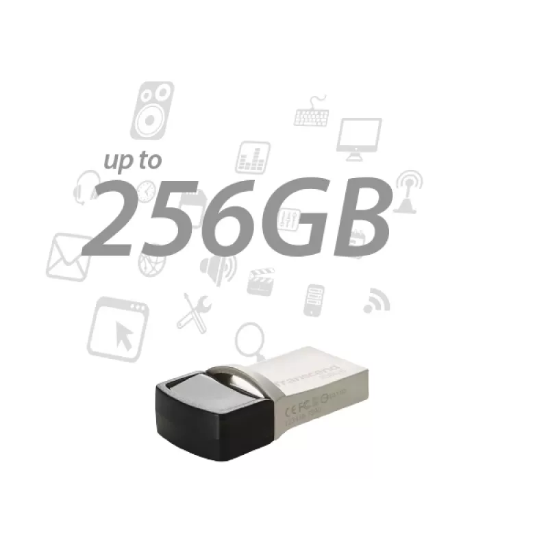 TRANSCEND JetFlash 890 - 256GB USB-stick - USB 3.1 / Type-C