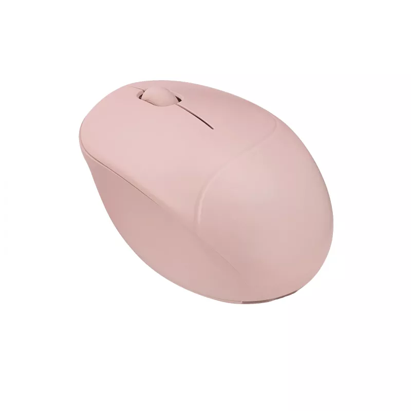 ASUS Fragrance MD101 muis home ambidexter RF draadloos + Bluetooth optisch 2400 DPI
