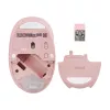 ASUS Fragrance MD101 muis home ambidexter RF draadloos + Bluetooth optisch 2400 DPI