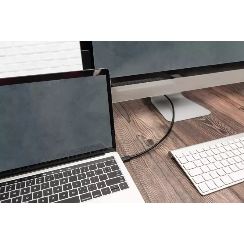 DIGITUS USB Type-C verbindingskabel, type C naar C M/M, 1m Gen2 zwart (AK-300139-010-S)