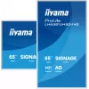 iiyama LH6581UHSG-1AG Signage Display Digital Signage flatscreen 163,8 cm (64,5 inch) Wi-Fi 500 cd/m² 4K Ultra HD wit geïntegreerde processor Android 24/7