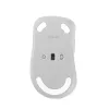 ASUS Wireless MD102 muis universeel rechtshandig RF Wireless + Bluetooth optisch 1600 DPI