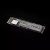 SSD harde schijf Intenso 250 GB M.2 PCI Express 3.0 NVMe model