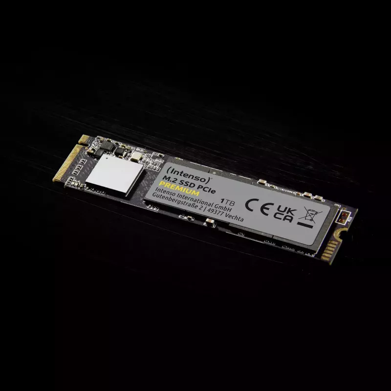 SSD harde schijf Intenso 250 GB M.2 PCI Express 3.0 NVMe model