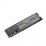 SSD harde schijf Intenso 250 GB M.2 PCI Express 3.0 NVMe model