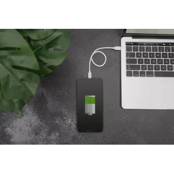 Oplaadkabel USB-C – Lightning Digitus Data DB-600109-010-W