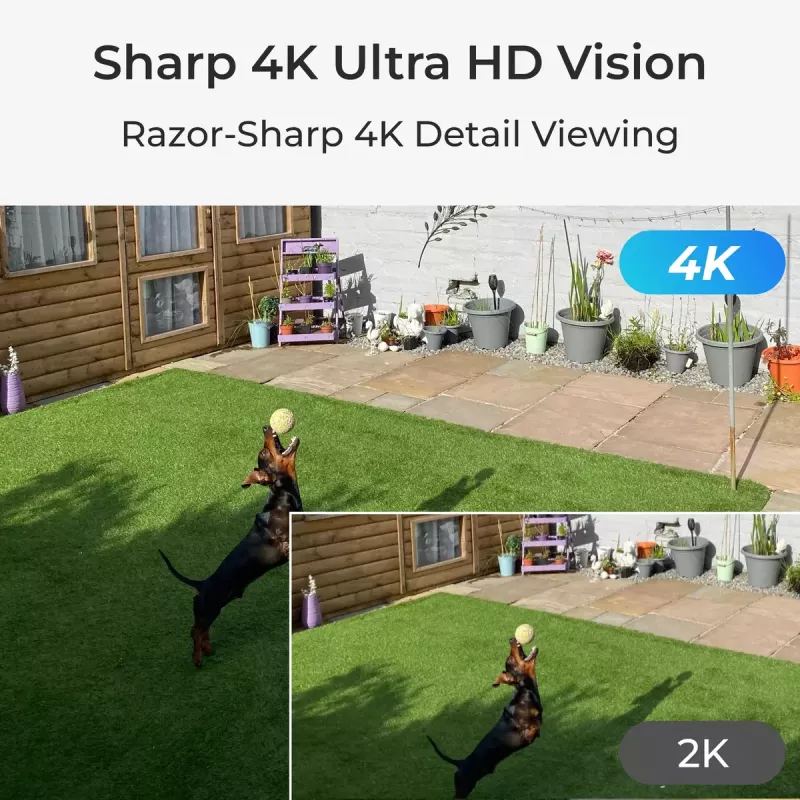 IP-beveiligingscamera Reolink P330 4K UHD