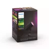 Philips Hue White and Colour Ambiance Lily buitenstraler