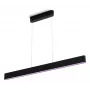 Slimme hanglamp Philips Hue Ensis zwart Bluetooth – hanglamp, 220–240 V, 1299×90×40 mm