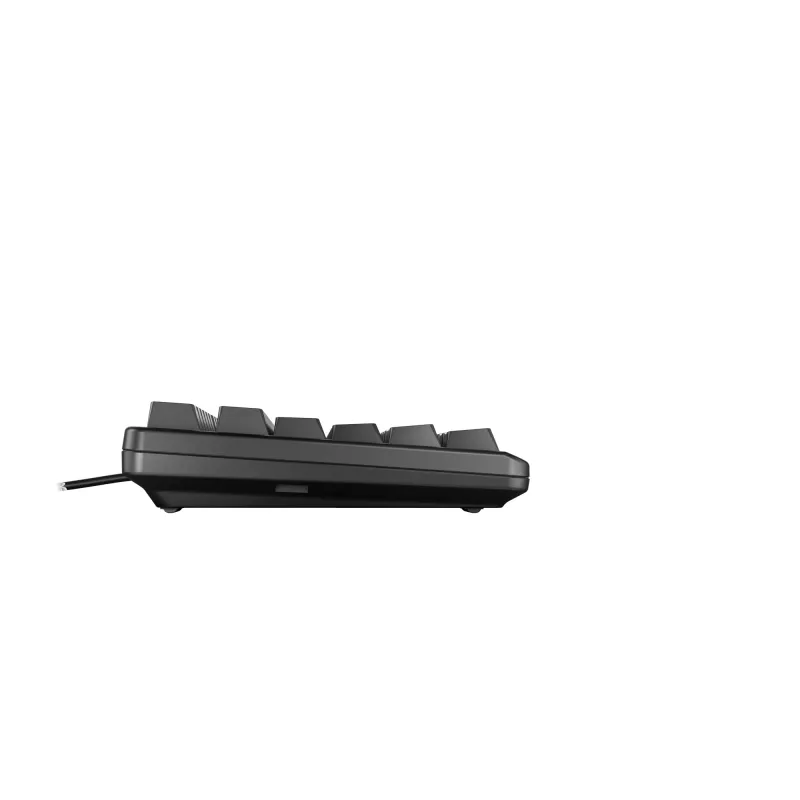 CHERRY G80-3000N RGB TKL toetsenbord universeel USB QWERTZ Duits zwart