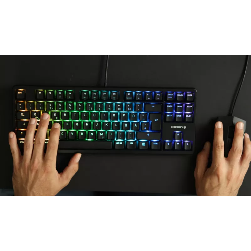 CHERRY G80-3000N RGB TKL toetsenbord universeel USB QWERTZ Duits zwart