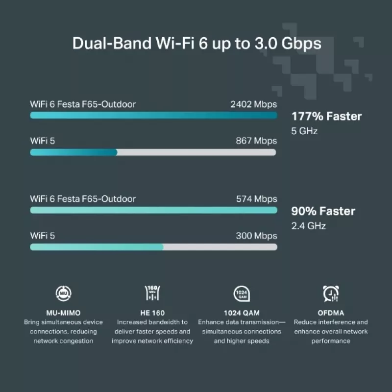 TP-Link Festa F65-Outdoor 3000 Mbit/s wit Power over Ethernet (PoE)