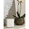 D-Link COVR AX1800 dual-band whole home mesh Wi‑Fi 6-systeem