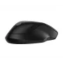 HP 255 Dual Wireless Mouse, dubbelhandig, optisch, RF Wireless + Bluetooth, 1600 DPI, zwart