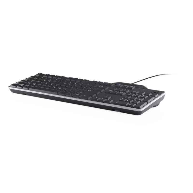DELL KB813 toetsenbord universeel USB QWERTY US-Engels zwart