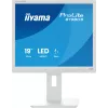 iiyama ProLite B1980S-W1 computermonitor 48,3 cm (19 inch) 1280 x 1024 pixel SVGA LED wit