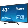 iiyama ProLite X4373UHSU-B1 computermonitor 108 cm (42,5 inch) 3840 x 2160 pixels 4K Ultra HD zwart