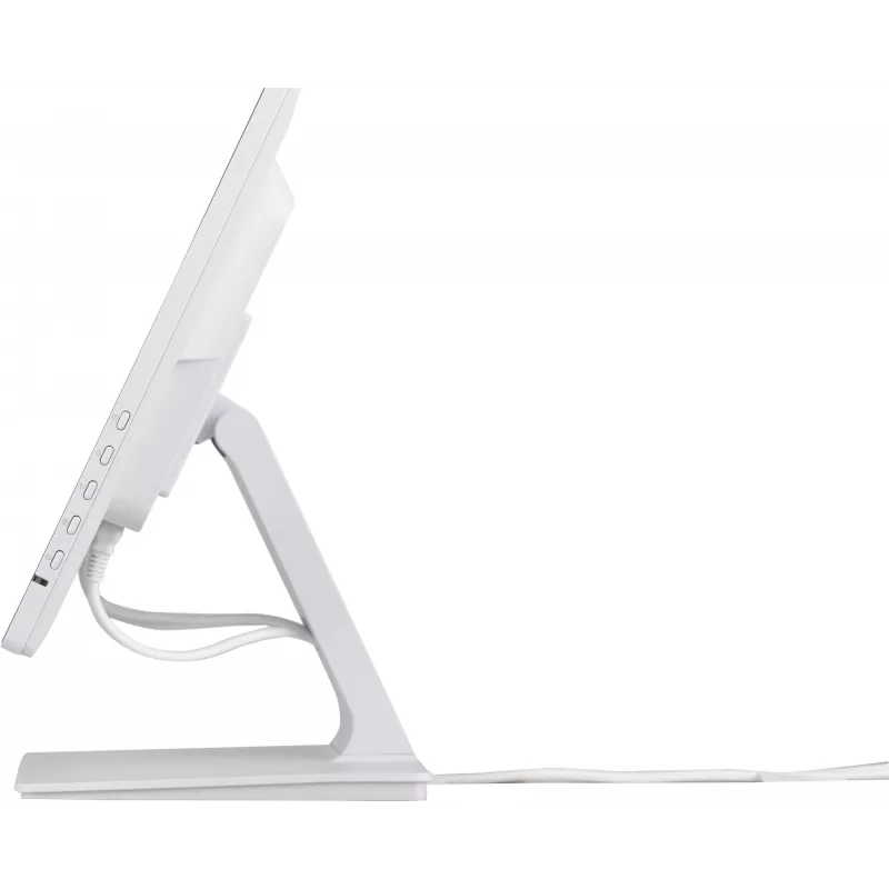 iiyama ProLite T2452MSC-W1 computermonitor 61 cm (24