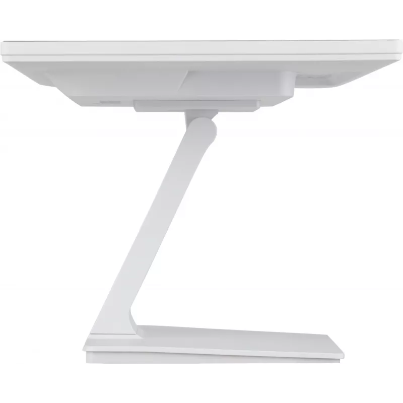 iiyama ProLite T2452MSC-W1 computermonitor 61 cm (24