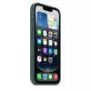 Apple silicone hoes iPhone 16e Lake groen