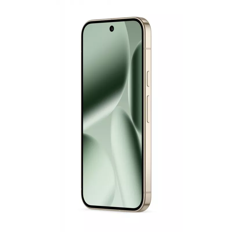 GOOGLE Pixel 10 Pro - Jade - 16GB - 256GB - 6,3 inch