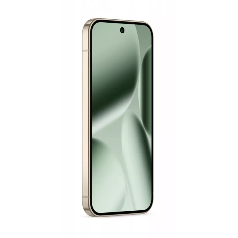 GOOGLE Pixel 10 Pro - Jade - 16GB - 256GB - 6,3 inch